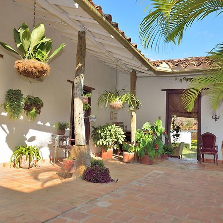Hotel Casa Palosanto サパトカ エクステリア 写真