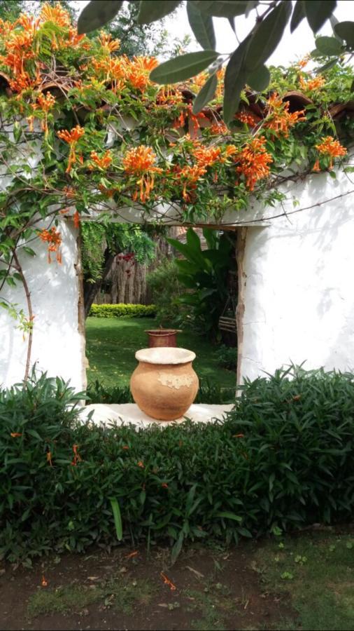 Hotel Casa Palosanto サパトカ エクステリア 写真