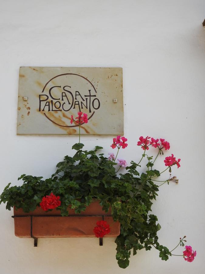 Hotel Casa Palosanto サパトカ エクステリア 写真