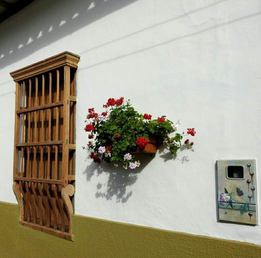 Hotel Casa Palosanto サパトカ エクステリア 写真